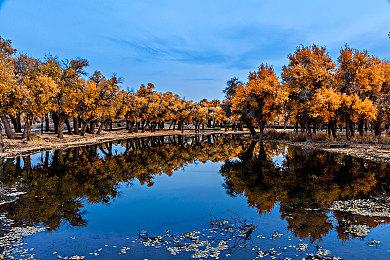 《街头霸王6》肯角色指南 6月2日发售